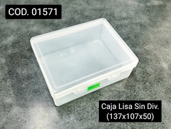 Caja Org. Lisa Sin Divisiones 4042