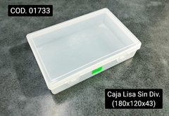 Caja Org. Lisa Sin Divisiones 4045