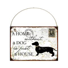 House whithout a dog