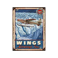 Wings Airways