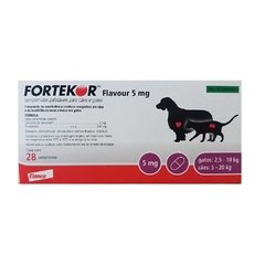 FORTEKOR FLAVOUR 5 - comprar online