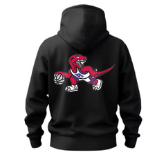 Hoodie Toronto Raptors - comprar online