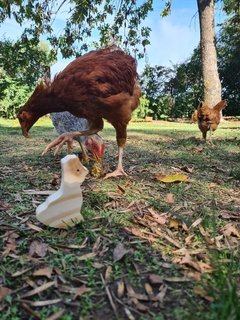 Mochila con 7 animales de la Granja