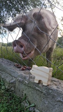 Imagen de Mochila con 7 animales de la Granja