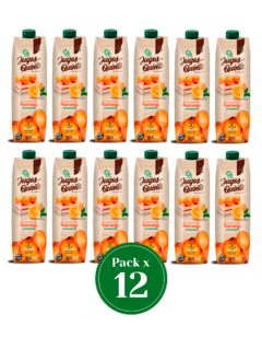 Jugo de Naranja 100% Exprimido Pack por 12 - comprar online