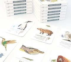 Flashcards Animales de Argentina - comprar online