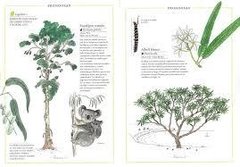 Inventario ilustrado de árboles en internet