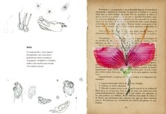 Vademécum de la flora naturalis imaginaria en internet