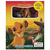 LIBRO DISNEY EL REY LEON CUENTOS Y AVENTURAS