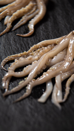 Tentaculo de calamar x 1 Kilo - comprar online