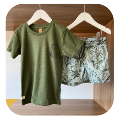 Conjunto folhas verde