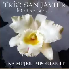 Cd Trio San Javier - Una Mujer Importante Nuevo Sellado