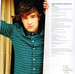 Imagen de Cd Importado - One Direction - Up All Night 2012 - Bayiyo