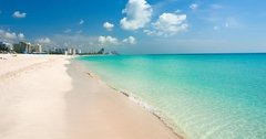 MIAMI - comprar online