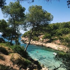 MALLORCA - comprar online