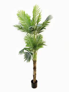 Planta Palmera 185cm