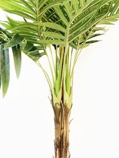 Planta Palmera 185cm - comprar online