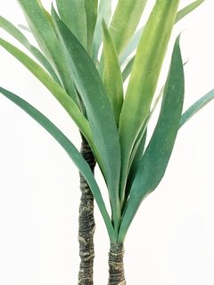 Planta Yuca 105cm - comprar online