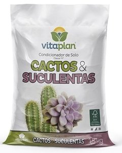 Terra especial para cactos e suculentas - comprar online