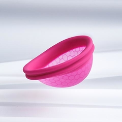 Imagen de DISCO MENSTRUAL L (50ML)