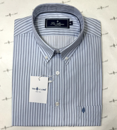 CAMISA REGULAR DAWEN