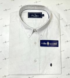 CAMISA REGULAR POINTWHITE