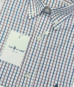 CAMISA CLASICA AUSTIN - comprar online