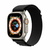 Alpine Loop Apple Watch en internet