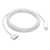 Cargador Macbook USB-C to MagSafe 3 Cable (2 m) en internet