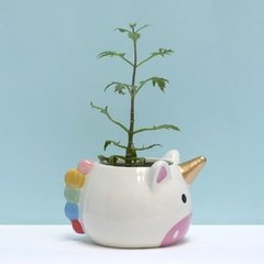 MACETA UNICORNIO - comprar online