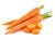 Zanahorias x kilo