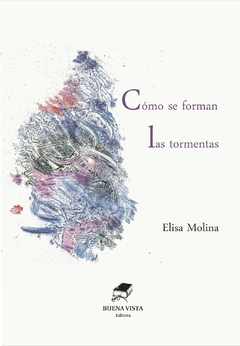 CÓMO SE FORMAN LAS TORMENTAS - ELISA MOLINA - Ilustración de tapa : Liliana Menéndez. Prólogo: Laura García del Castaño