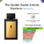 Perfume Antonio Banderas The Golden Secrets EDT - Masculino - 100ML - comprar online