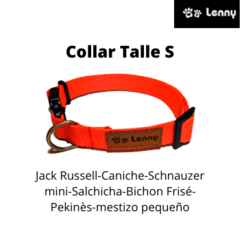 Collar Wanda - comprar online