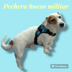 Arnes con forma de hueso Militar - comprar online