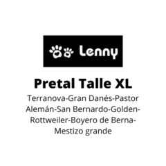 Pretal Lola - Lenny