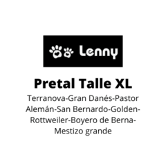 Pretal Filipo - Lenny