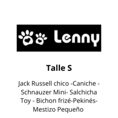 Combo Full Rocky - Lenny