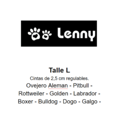 Combo Collar + Pretal + correa Axthor - Lenny