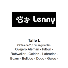 Combo Collar + Pretal + Correa Filipo - Lenny