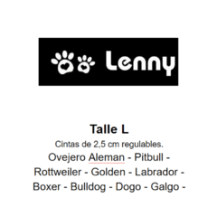 Pretal + Correa Summer - Lenny