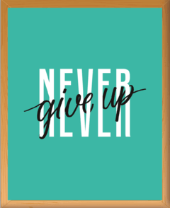 NEVER GIVE UP - comprar online