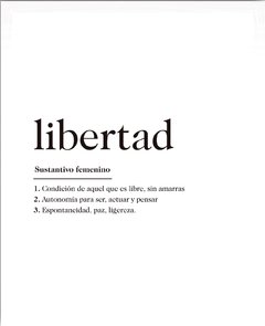 LIBERTAD en internet