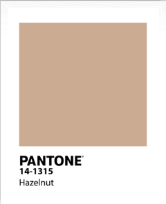 PANTONE en internet