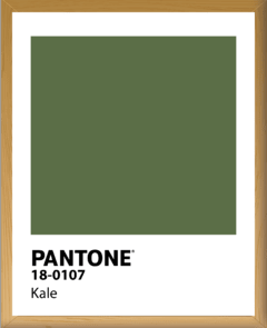 PANTONE