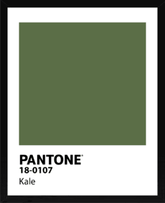 PANTONE - comprar online