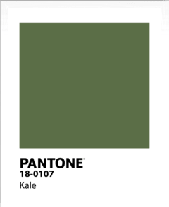 PANTONE en internet