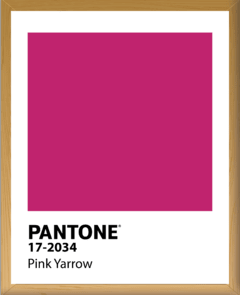 PANTONE