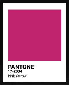 PANTONE - comprar online