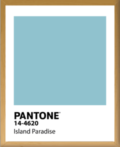 PANTONE